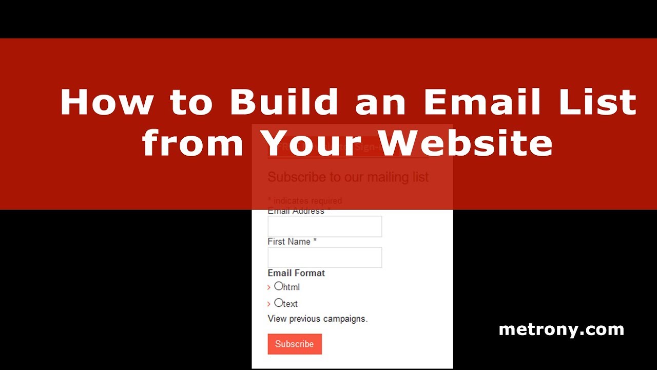 How to Build an Email List from Your Website - MetroNY.com