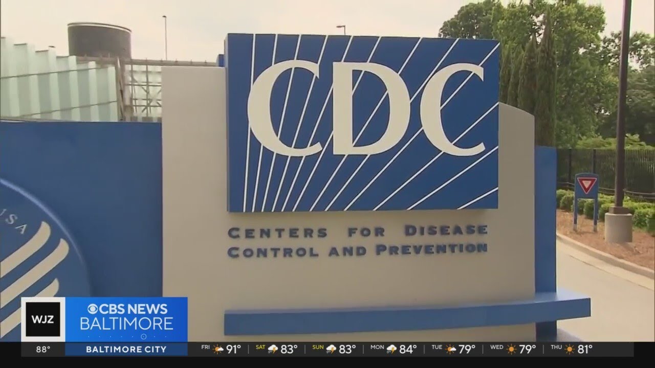 What is parvovirus? Johns Hopkins doctor explains the concerns.