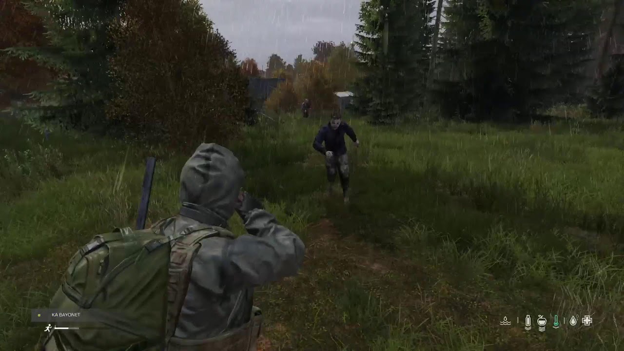 Day Z Solos
