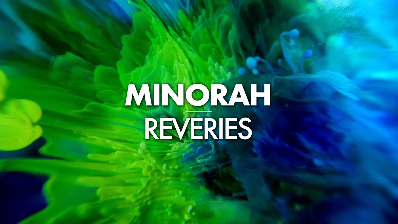 Minorah - Reveries (Original mix)
