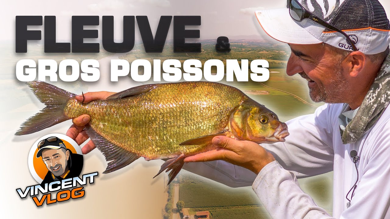 Pêche Extrême au Feeder : Combat contre les gros #poissons du Fleuve