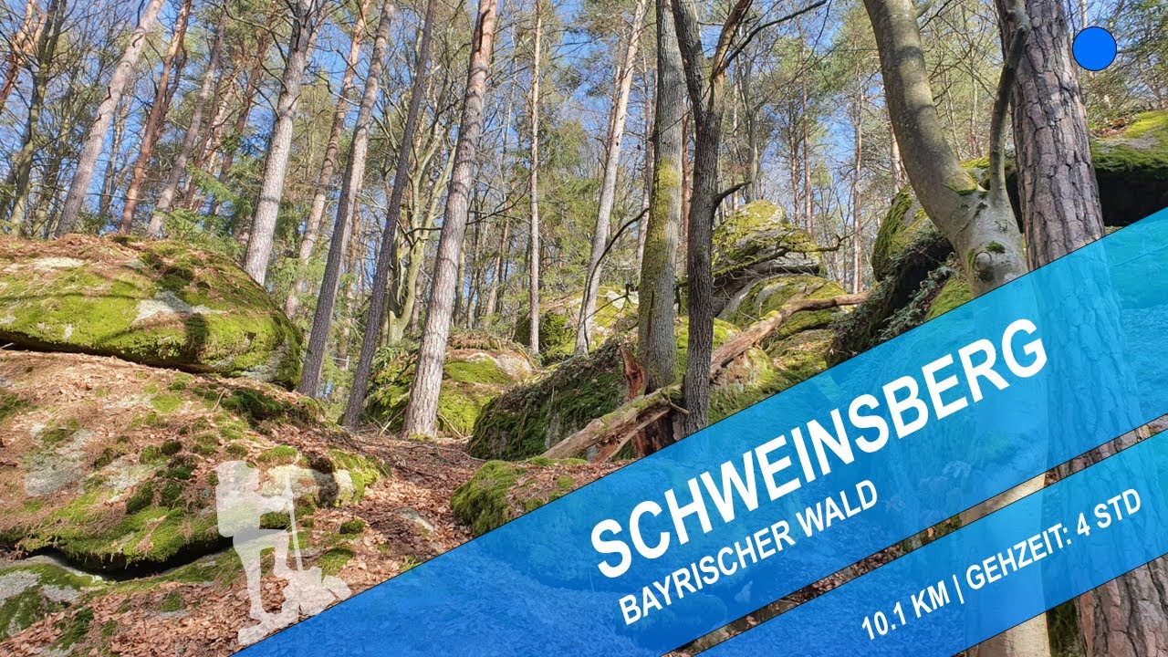 Schweinsberg und Sengersberg mit Burgruine | Wandern im Bayrischen Wald