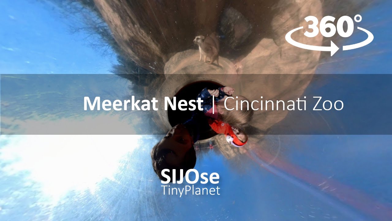 Meerkat Nest - Cincinnati Zoo & Botanical Garden | 360 Video