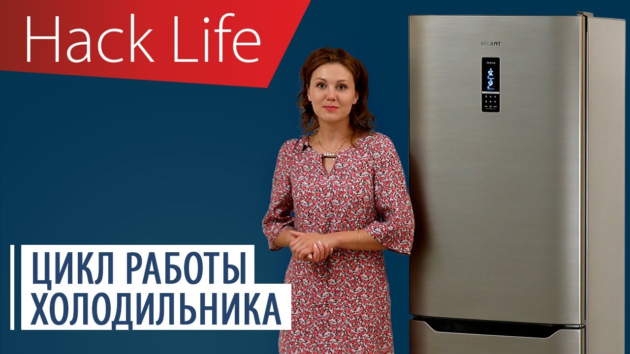Качество и циклы холодильника. Правильная работа холодильника ATLANT.