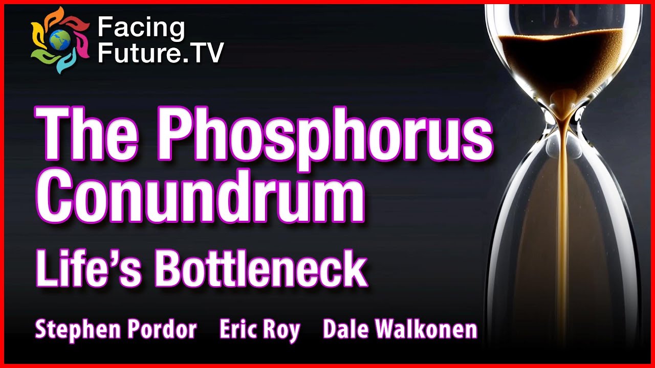 The  Phosphorus Conundrum