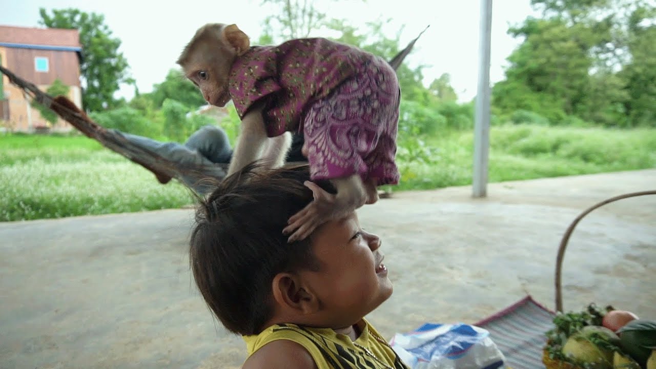 Leo monkey stand on his brother he@d