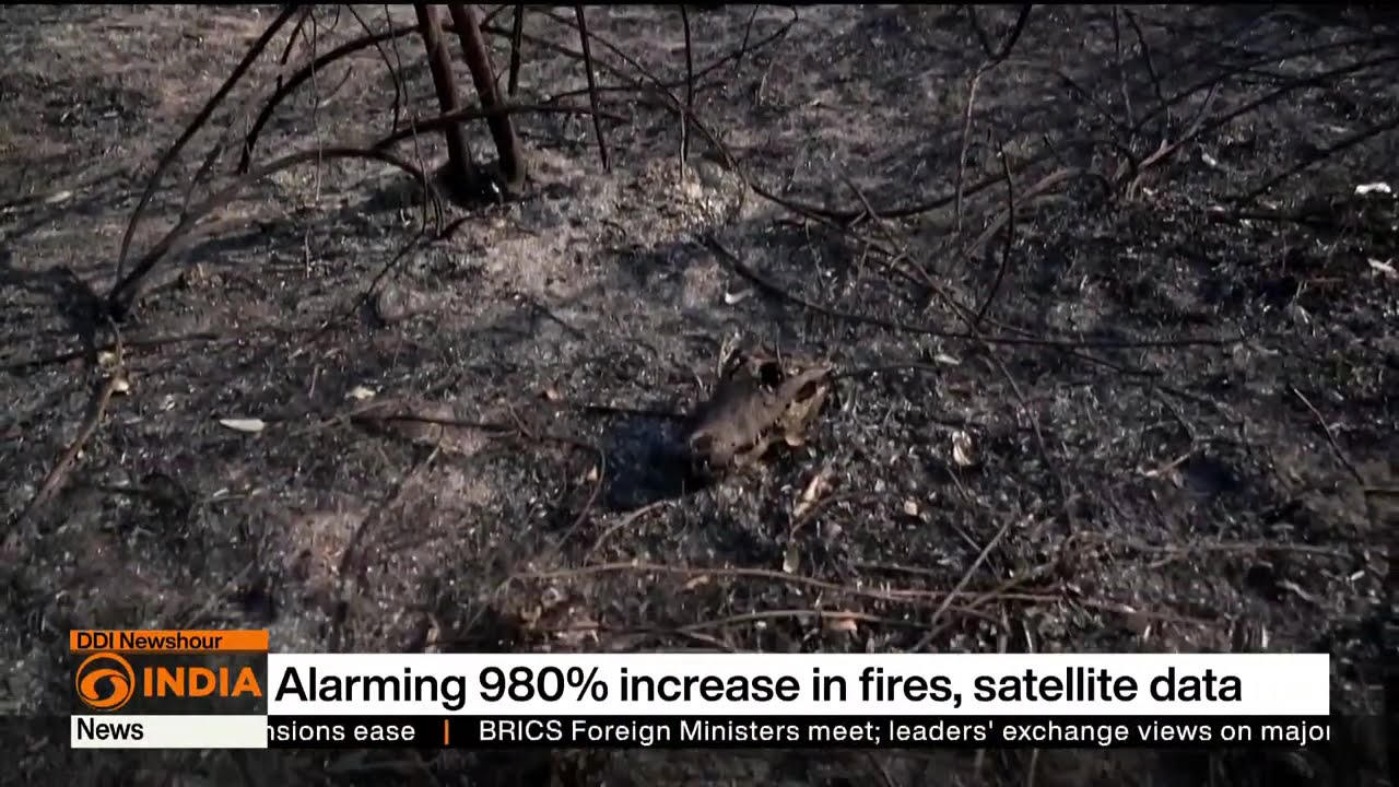 Worries grow for peak wildfire season | DD India