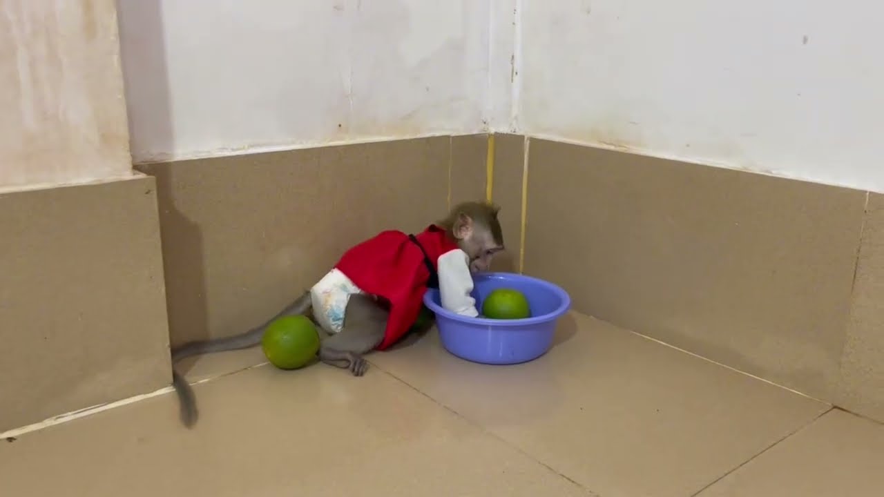 Oh Gezz..!! Lil koy too much busy for her work today 