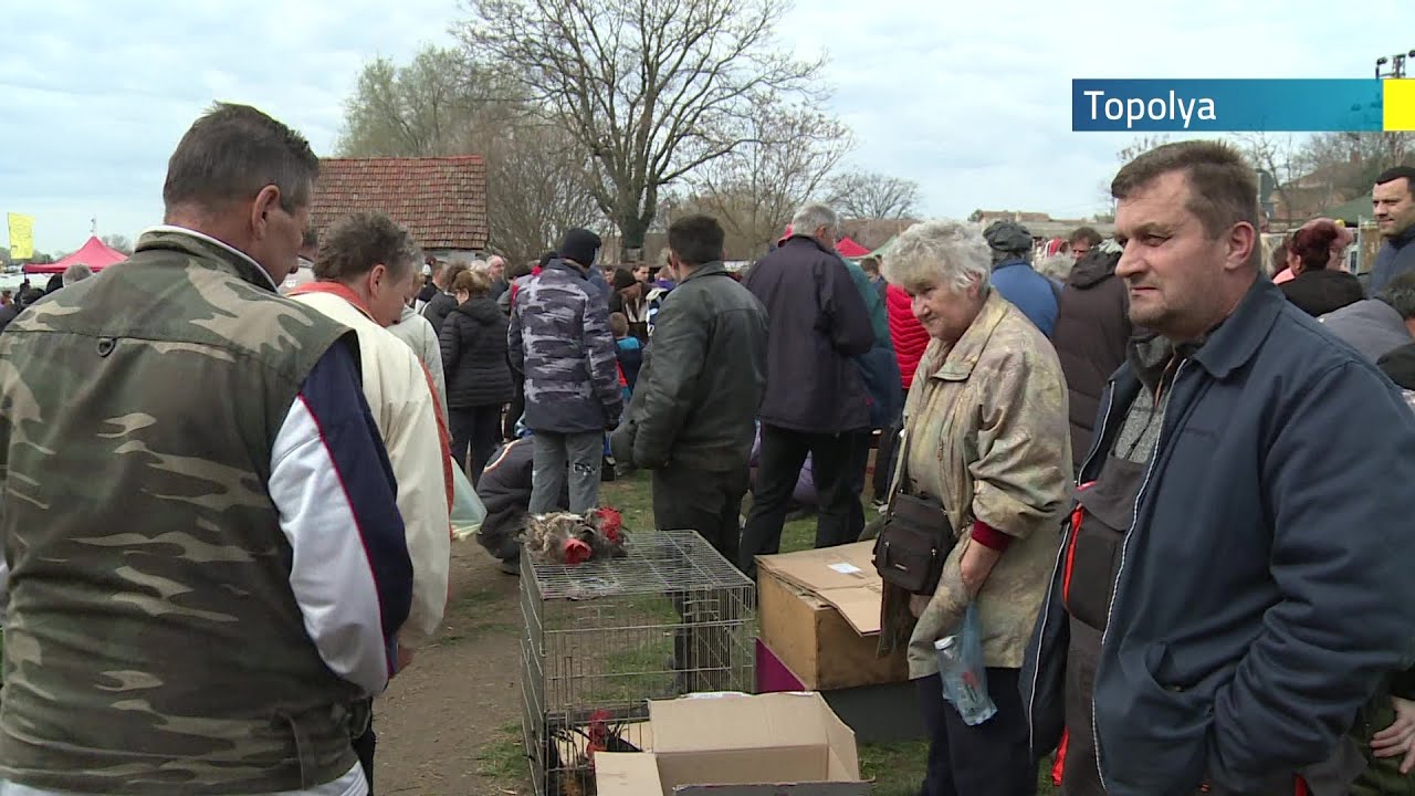 2024.03.10. - Több mint tízezren fordultak meg a topolyai vásárban