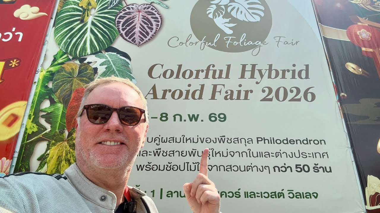 Colorful Hybrid Aroid Fair 2026 🌿 Full Walkthrough | Bangkok Rare Plant Show