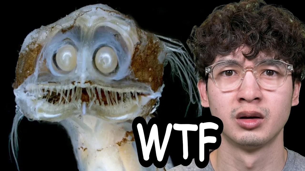 The Scariest Deep Sea Creatures Alive Right Now
