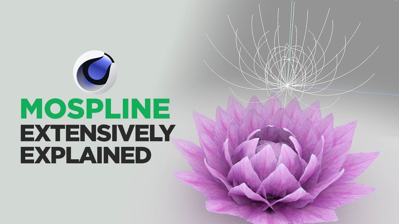C4D MoSpline & Everything Explained in Detail - Cinema 4D Mograph