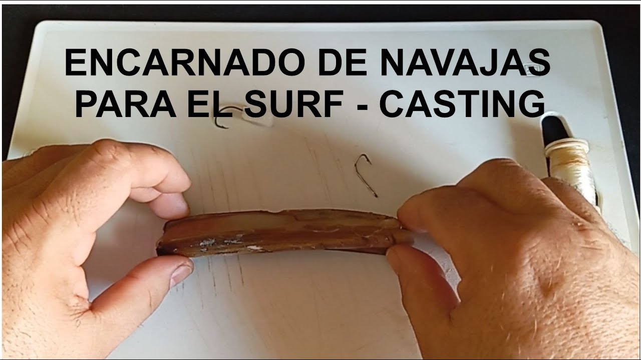 ENCARNADO DE NAVAJAS PARA EL SURF - CASTING#cebos #fishing #navaja