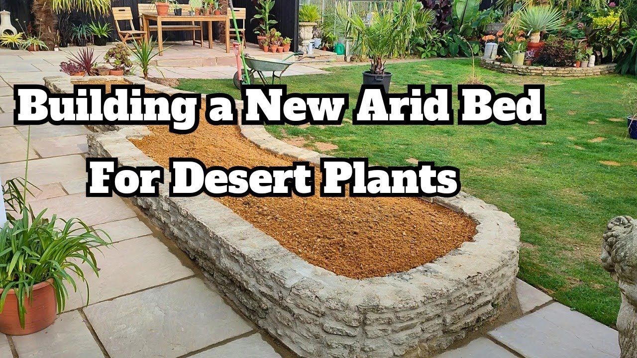 Creating a Raised Bed for Desert Plants in a Cool Climate 🌞