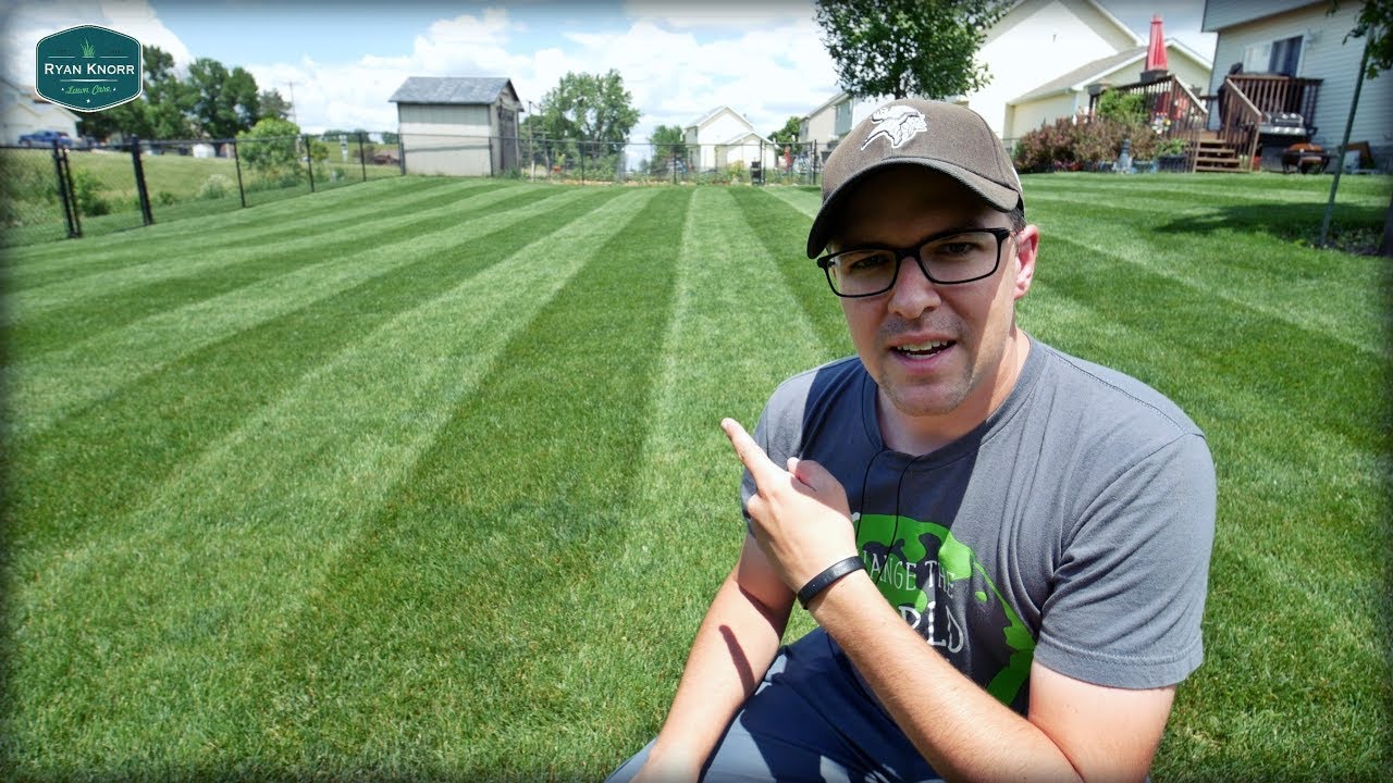 Look at those STRIPES! // Toro Striping Kit + Swardman Electra