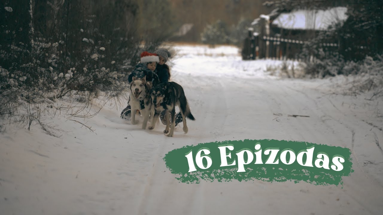 Viena diena TIKROS žiemos | Langų ir durų apvadai | Tylusis vlogas | 16 Epizodas