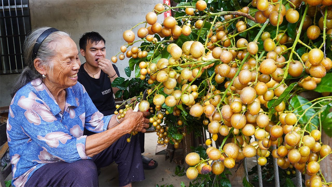 黃皮果吃不完這樣做，酸甜開胃又解膩，吃不完放一年都不壞｜Grandma makes traditional Chinese food with yellow peel fruit｜广西 美食 玉林阿婆