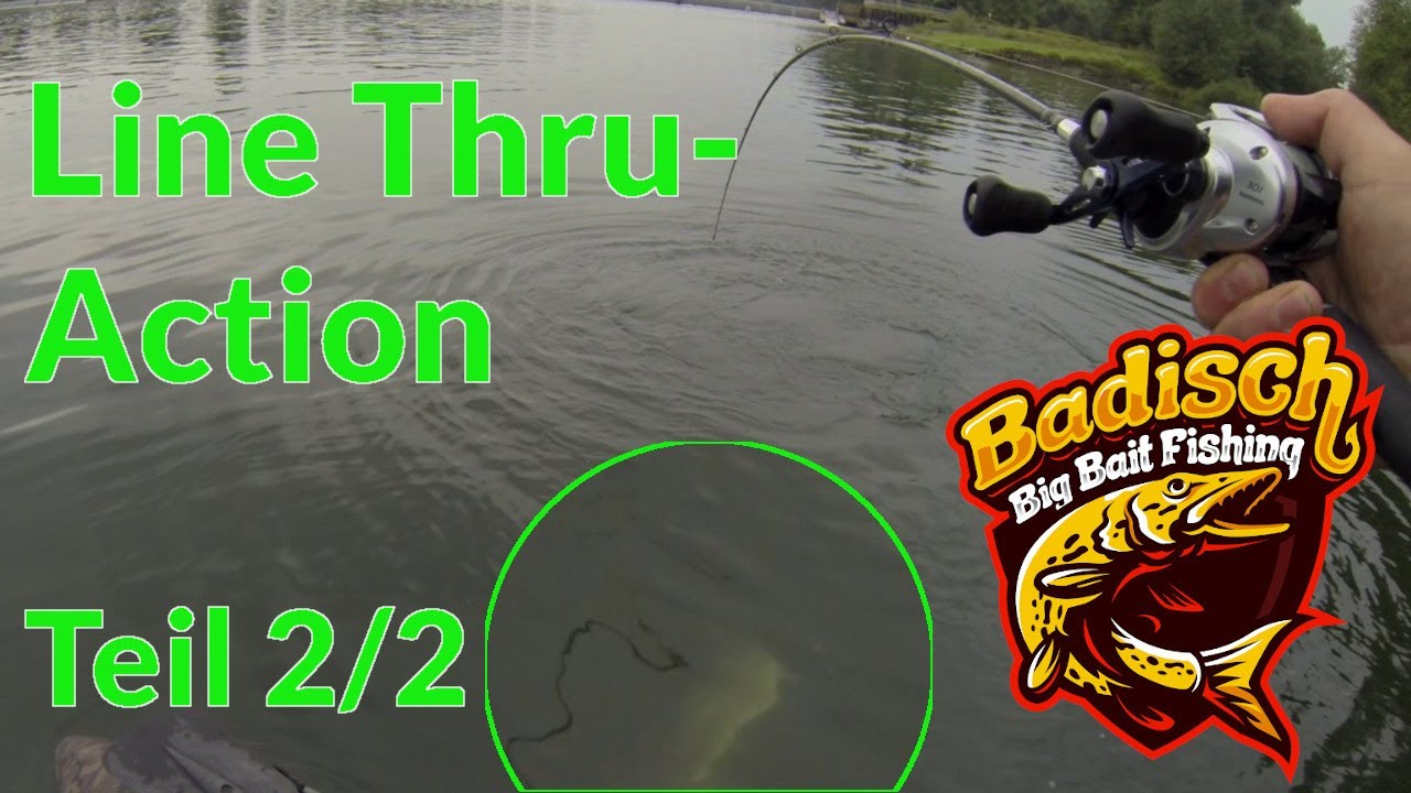 Ich war erstaunt, wie lang der letzte Hecht war Teil 2/2  Line Thru Trout (Session am Oberrhein)