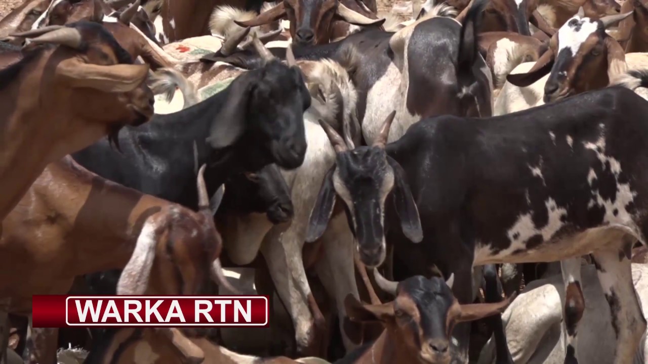 Magaalada Muqdisho ayaa laga dareemaya sarakac dhanka Xoolaha Ciida awgeed