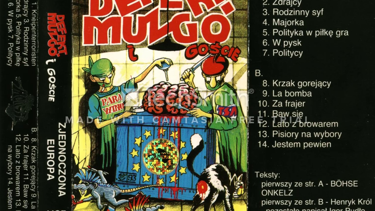 Defekt Muzgó - Pisiory na wybory