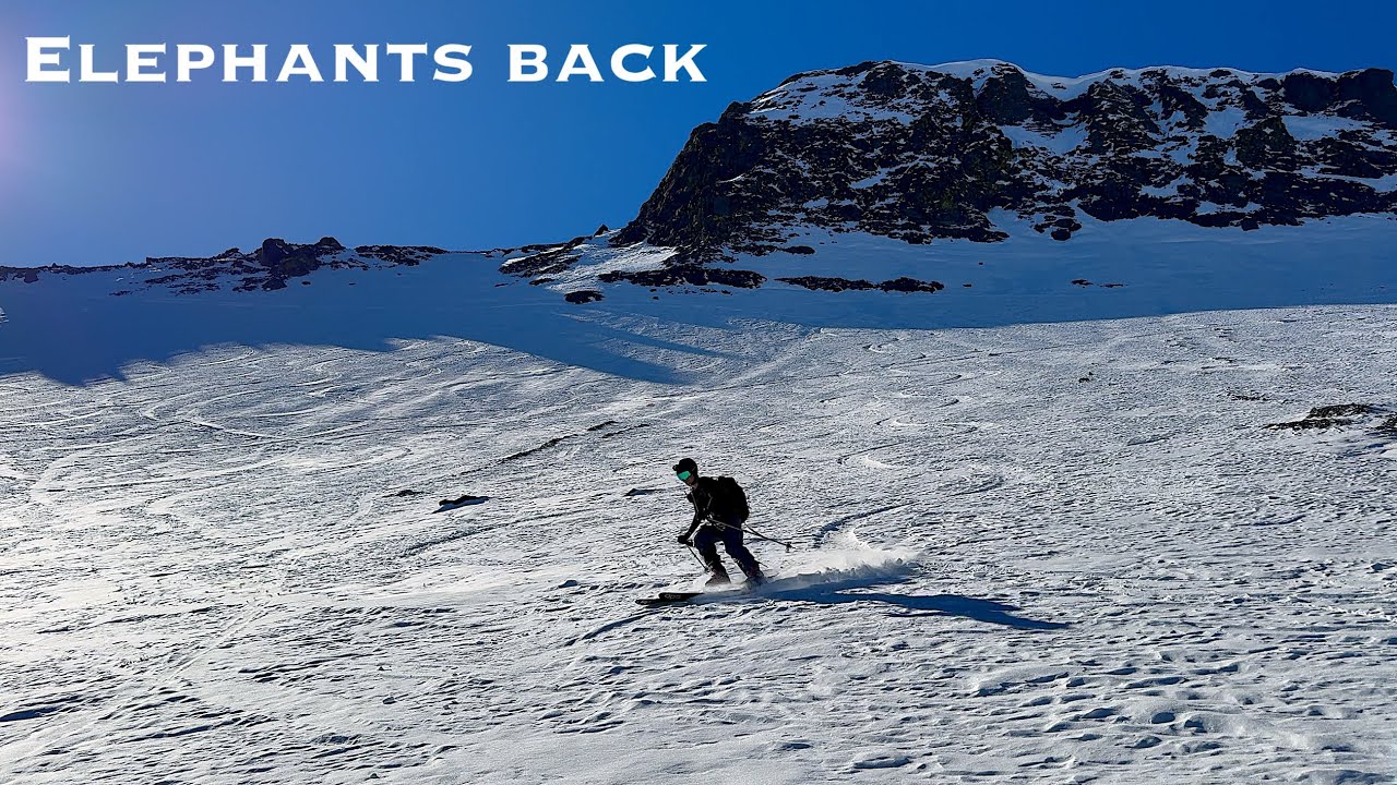 Carson Pass- Ski Touring into Elephant’s Back. Waiting for more SNOW.