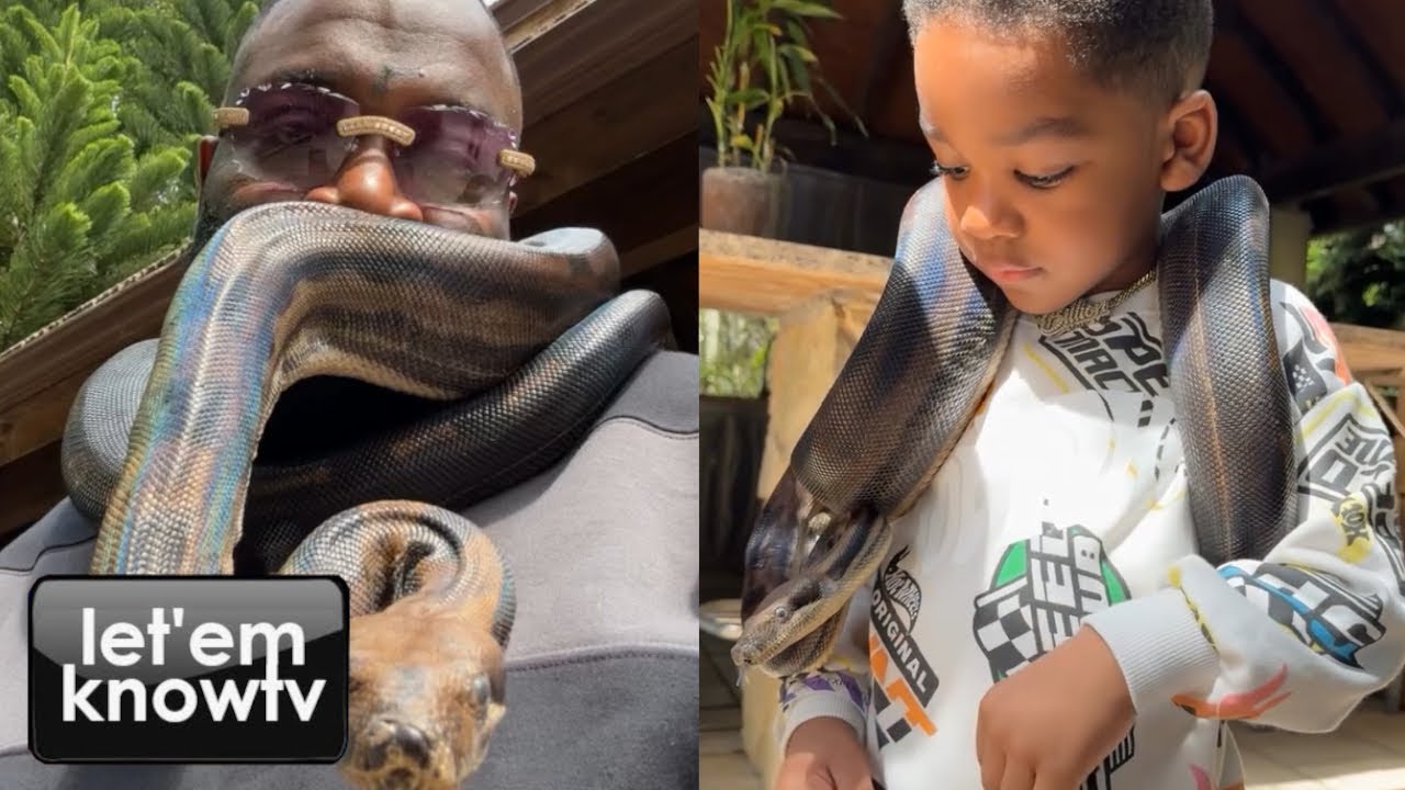 Rick Ross And His Grandson PJ Playing With Pythons At A Zoo🤦🏽&zwj;♂️