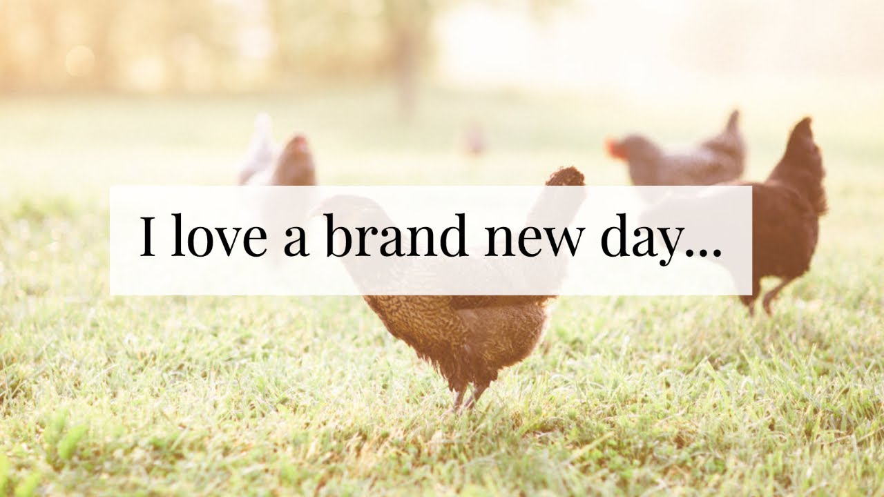 I love a brand new day...