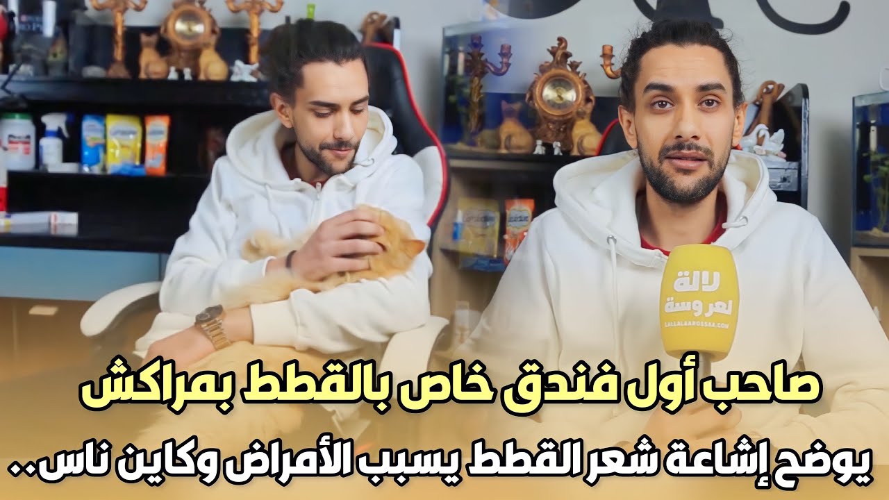 لأول مرة..صاحب أول فندق خاص بالقطط بمراكش يوضح إشاعة شعر القطط يسبب الأمراض وكاين ناس كتسمح في قططها