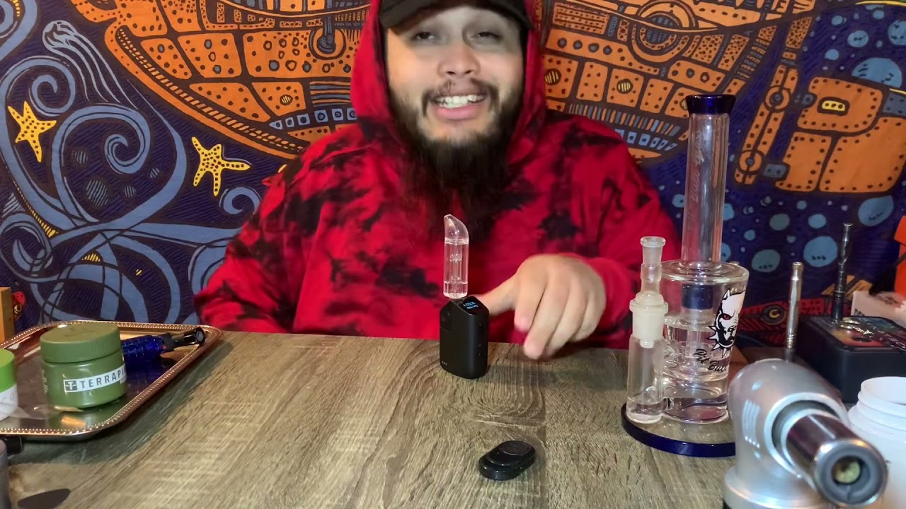 Sour Tangie from Terrapin . He actually bought a sativa !
