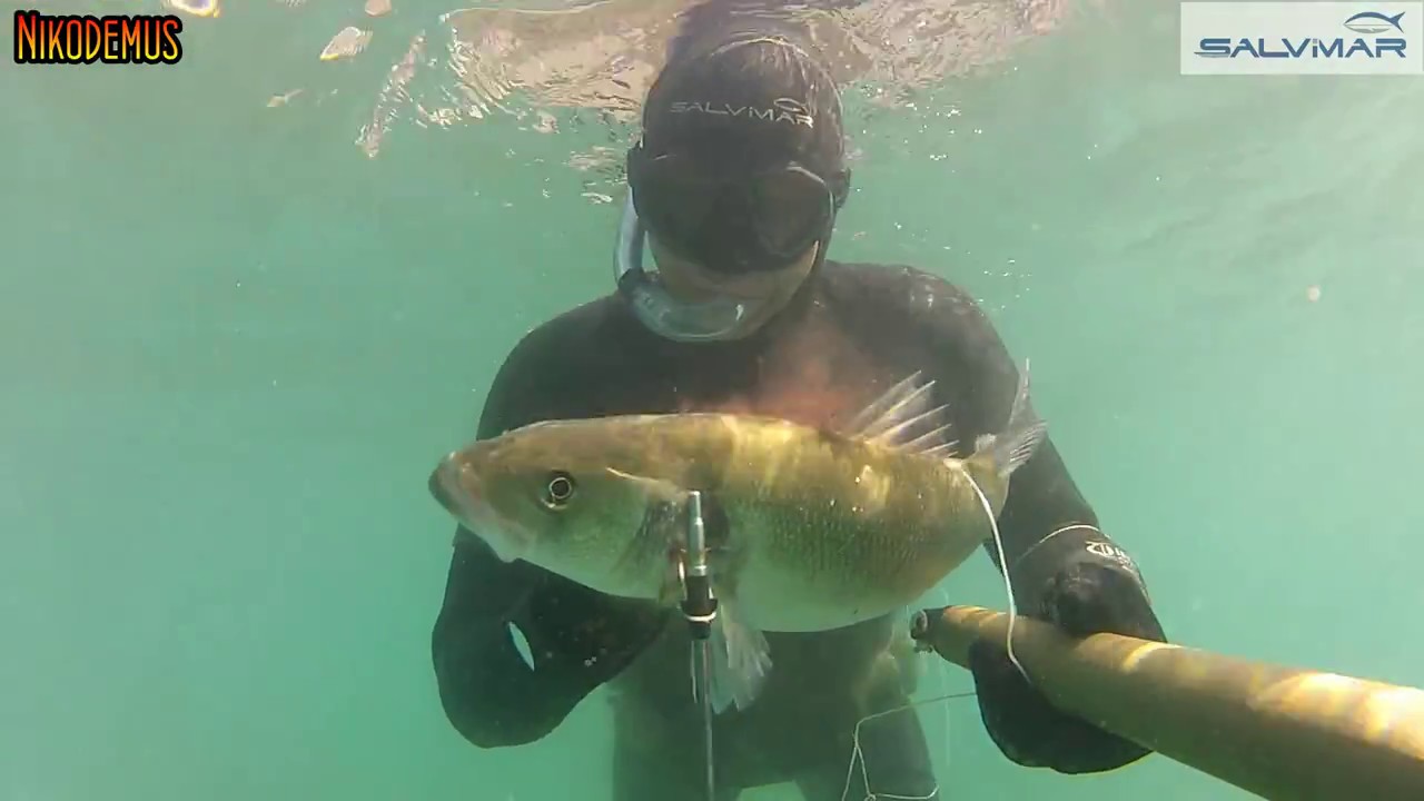 Pesca Sub: 
