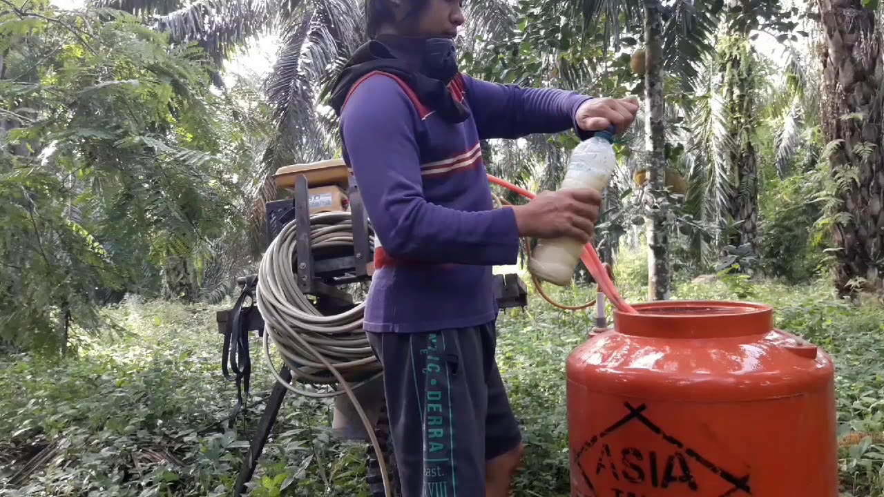 CARA MENYEMPROT LAHAN SAWIT YANG LUAS DAPAT SELESAI DALAM BEBERAPA HARI AJA