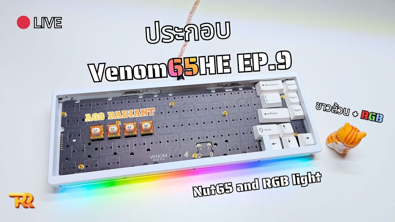 🔴 ประกอบ VENOM 65 HE EP.9 | Nut65 สีขาวล้วน | AGS Rediant | Custom DB + RGB Module | BOW Keycap