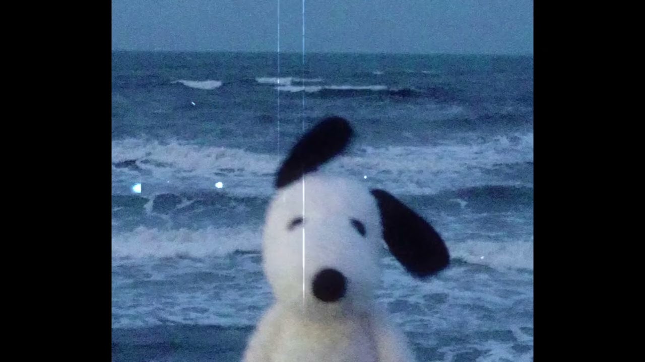 [FREE] WIFISKELETON X INDIE X POP ROCK TYPE BEAT 