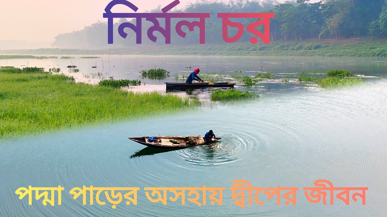 পদ্মার পারে নির্মল চর। Nirmal Char। A island village of India Bangladesh Border। West Bengal । 