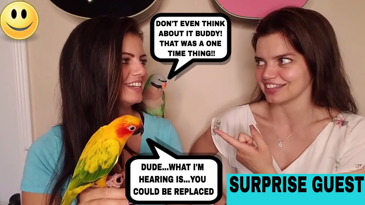 My Mustache Parakeet Ate My Keyboard So My Sister Blamed My Dad (Surprise guest) | STORY TIME SUNDAY