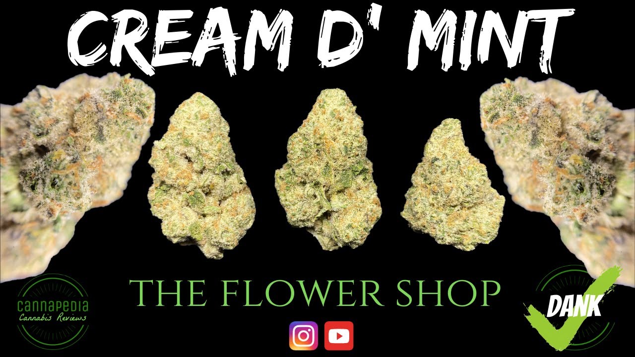 Cream D' Mint Strain Review - The Flower Shop - Cannapedia