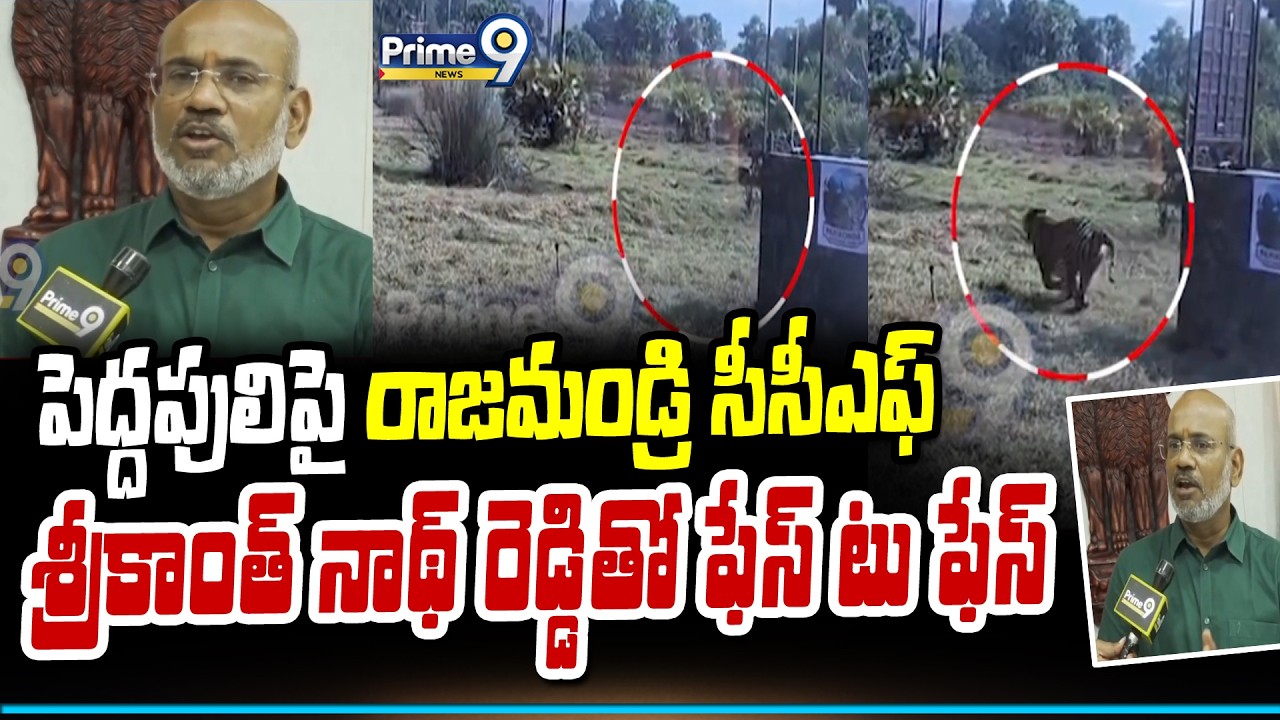 Rajahmundry Tiger : పెద్దపులిపై రాజమండ్రి సీసీఎఫ్ శ్రీకాంత్ నాథ్ రెడ్డితో ఫేస్ టు ఫేస్ | Prime9 News