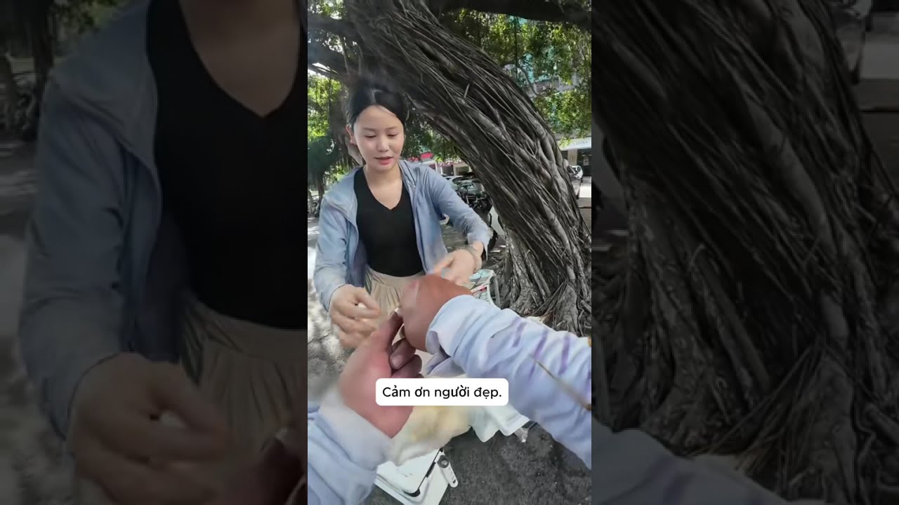 Câu cá đổi đồ ăn phần 7. Hôm nay A Vĩ lại đi câu cá đổi đồ ăn với các bà chủ xinh đẹp.