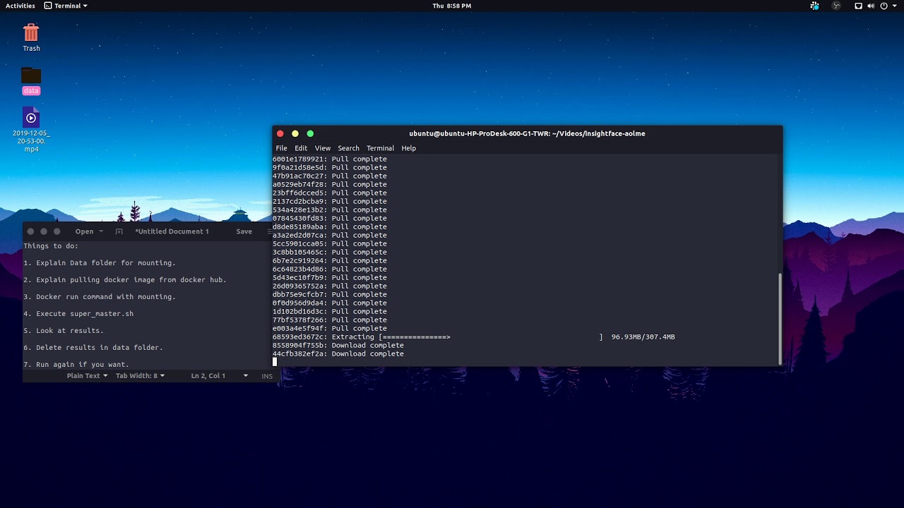 insightface tutorial