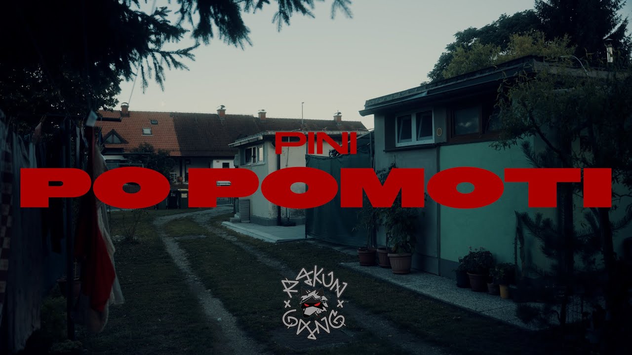 PINI - PO POMOTI