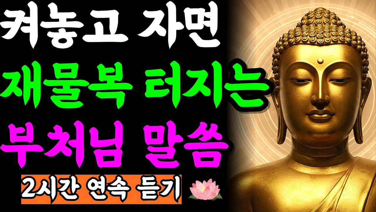 그냥 켜놓고 주무세요. 재물 복이 터지고 자고 나면 귀인이 찾아옵니다 | 부처님 말씀 | 석가모니 | 불교명언 | 불교오디오북