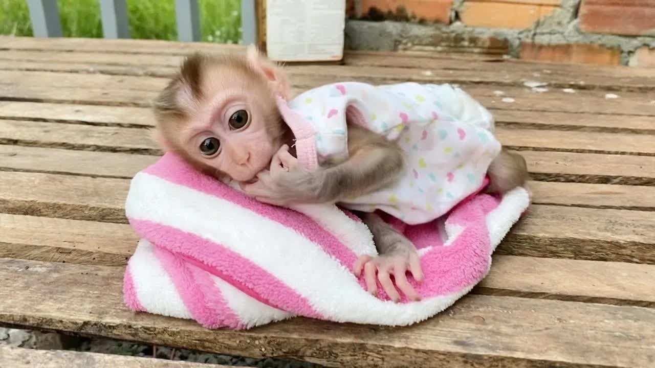 How Pitiful BB DORN Sleep Very Sadly Wait Mom Come Back On Bed