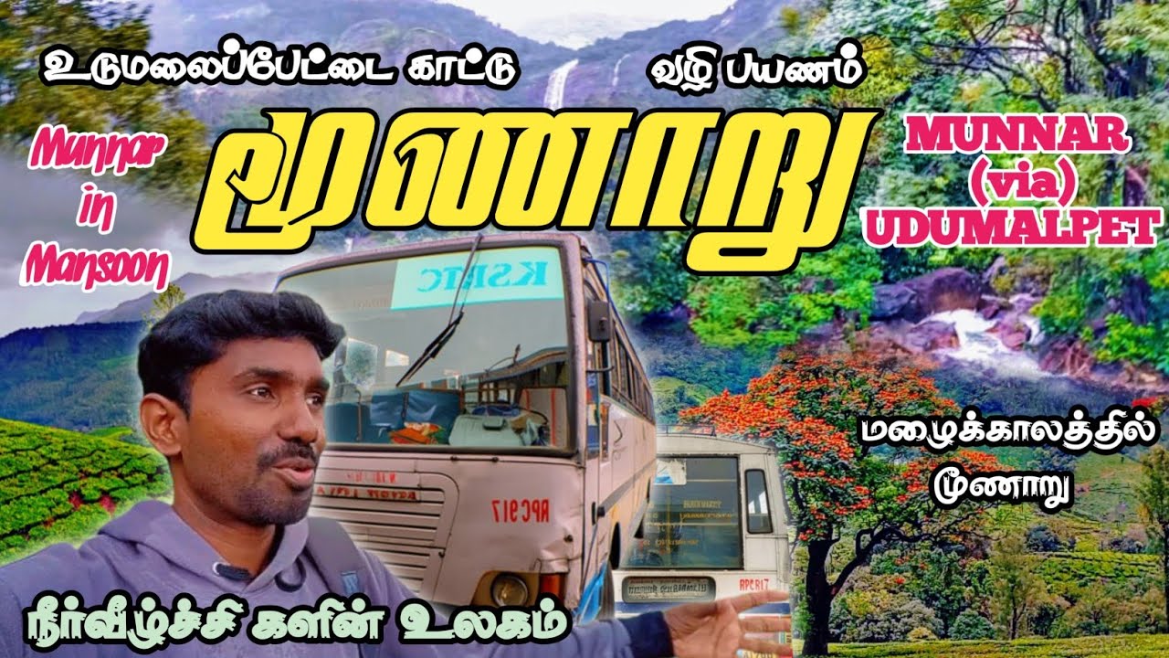 மூணாறு - கேரளா | Munnar - Kerala | உடுமலை பேட்டை முதல் மூணாறு வரை | Udumalpet to munnar #munnar 