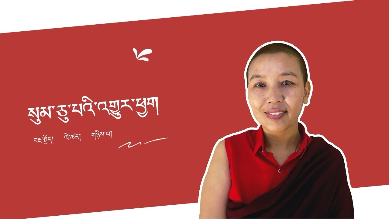 སུམ་ཅུ་པའི་འགྱུར་ཕྱག   ལེ་ཚན། གཉིས་པ། sumchupa  Tibetan grammar