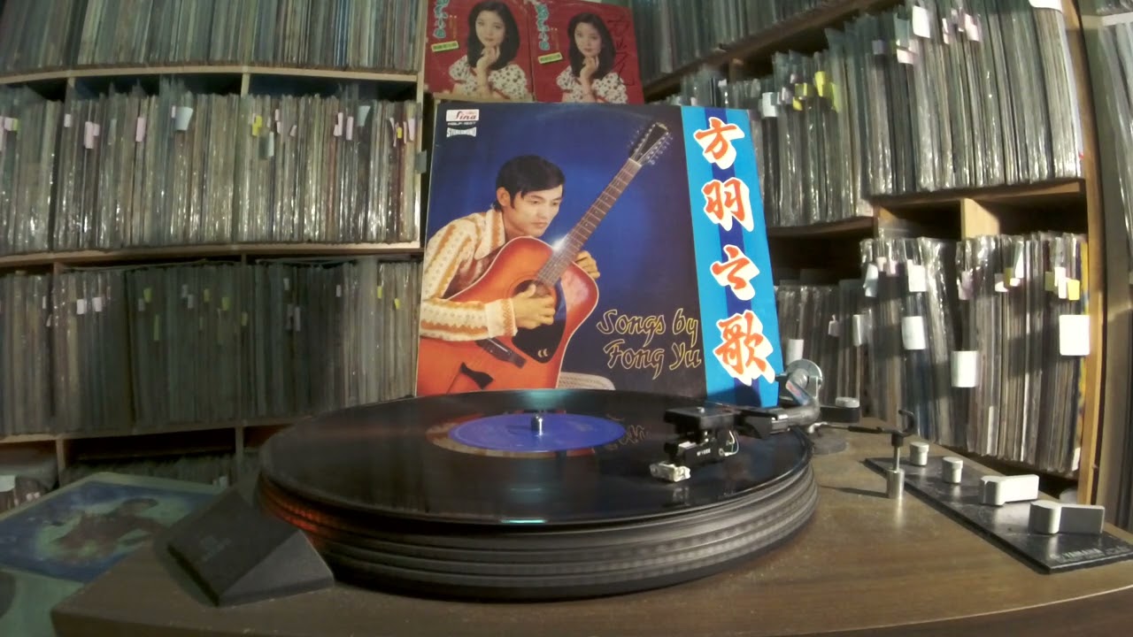 方羽 Fang Yu -- a2 月夜琴挑