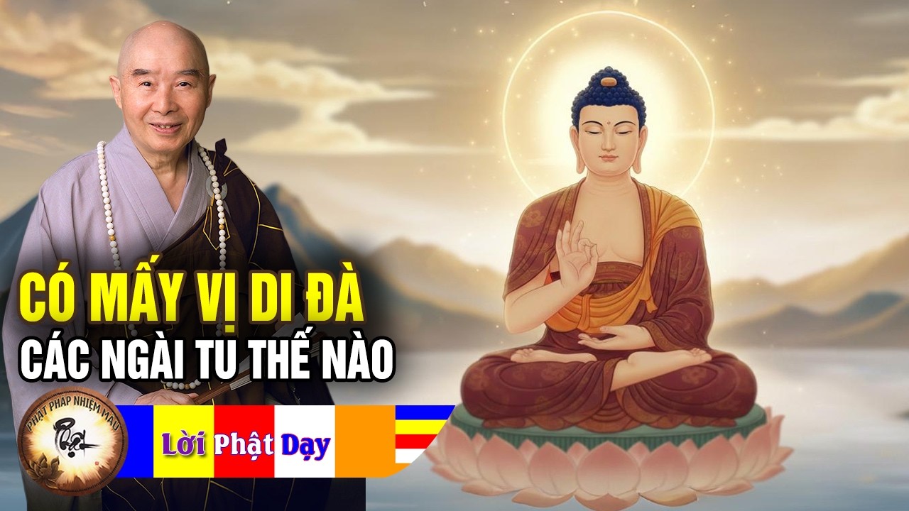 Sự Thật: Có bao nhiêu vị Phật A Di Đà? Các Ngài tu thế nào? | Pháp Sư Tịnh Không