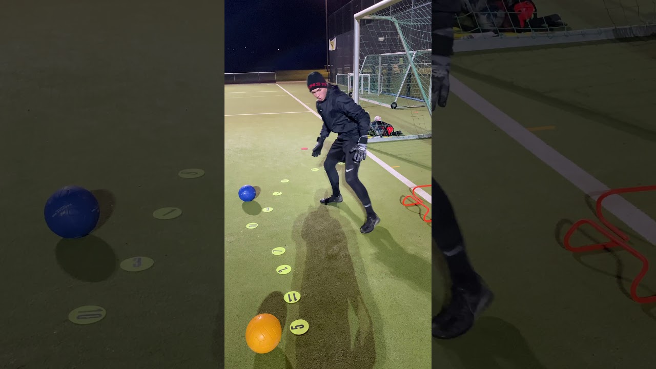 Goalkeeper coach Nico Pellatz