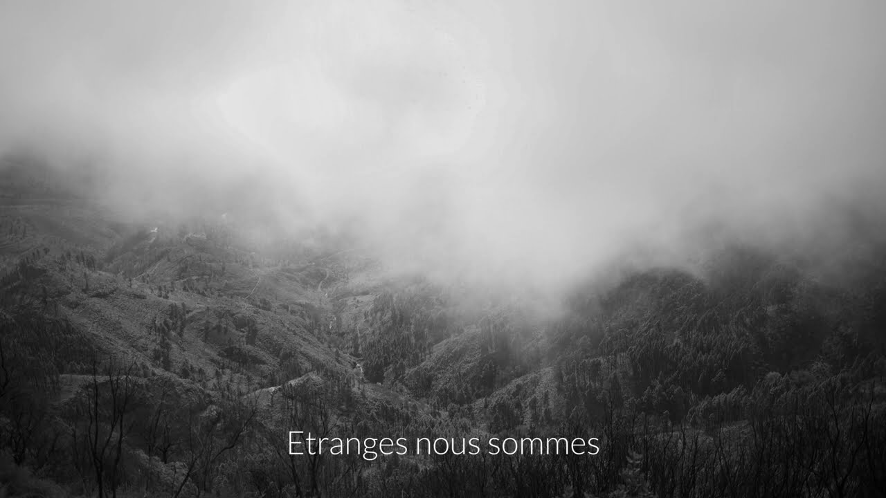 dead song  Pt.1 feat. Sam Genders (French Lyric Video)