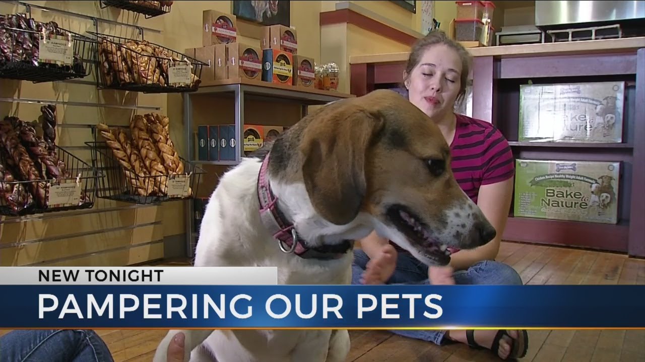 Pet parents love their rescues: How Columbus has gone to the dogs
