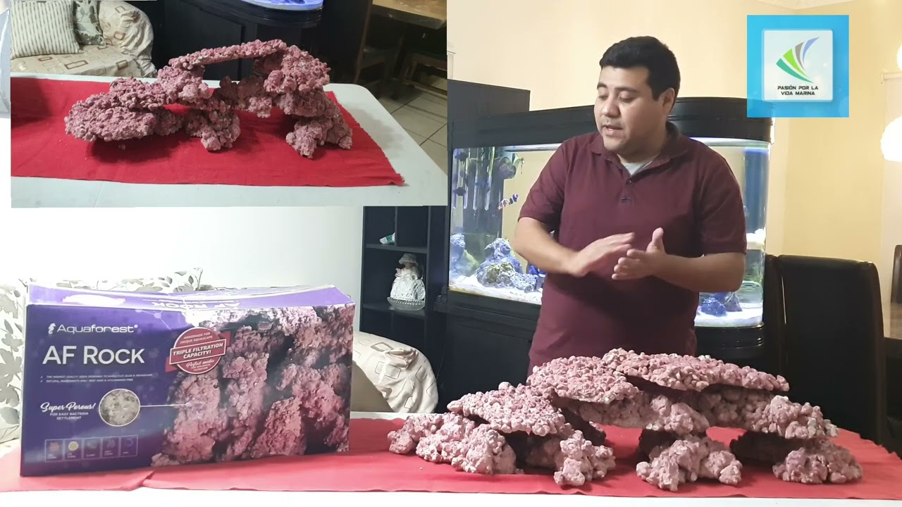AF ROCK de aquaforest, para mi nuevo acuario